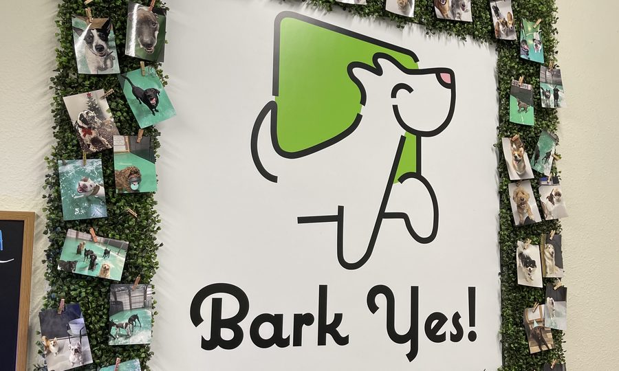 The Bark Yes! logo wall framed with photos of pack members